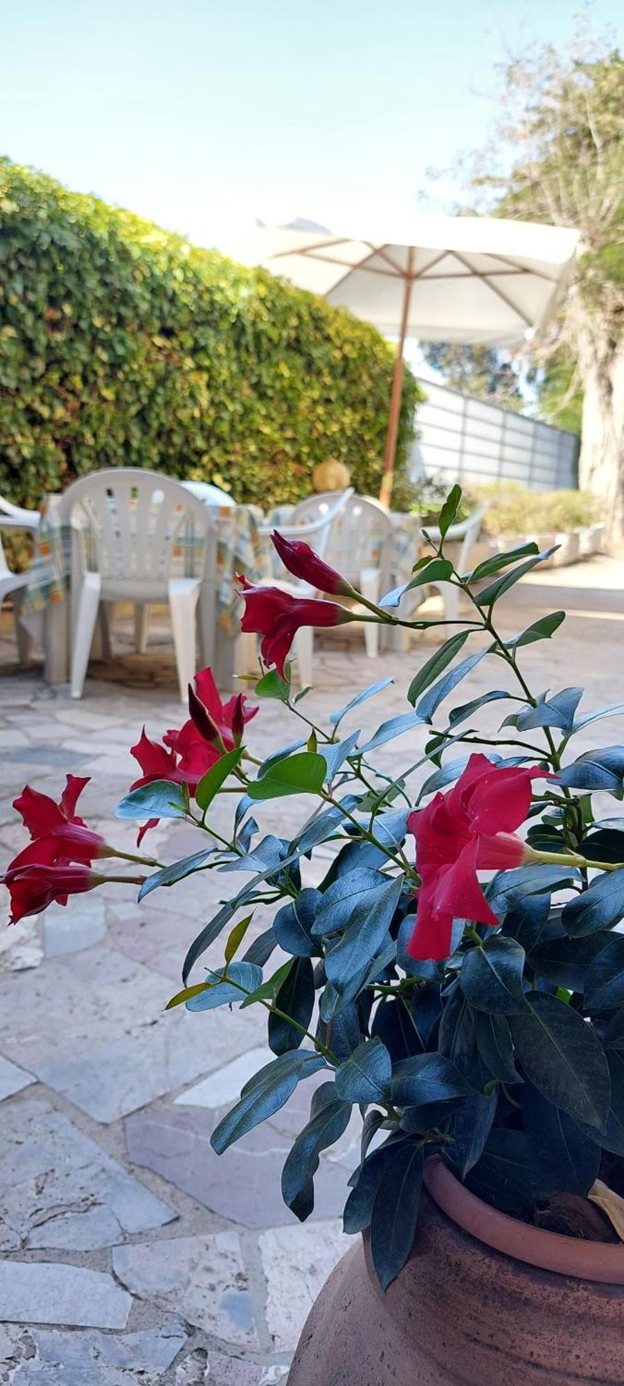 Hotel Lea Grosseto Eksteriør bilde